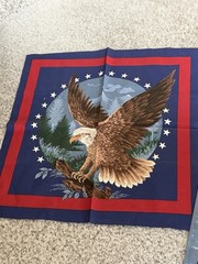Wamsutta Eagle Fabric Pillow Squares Patriotic Star Birch Bark 4 + 2