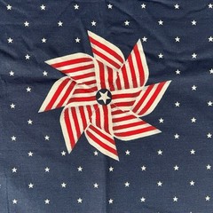 Daisy Kingdom #4711 Old Glory Classic Scarf Panel Springs Pillow Cotton Fabric