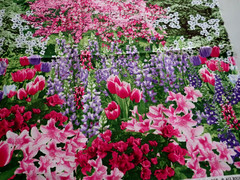 Timeless Treasures of SOHO Patt# “Nature”- C 2759 Flowers Forest Fabric Remnant