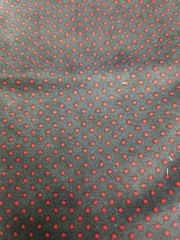 Watermelon Picnic Summer Ants Applique Quilting fabric 100 cotton by 1/2 yard
