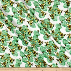 1 1/2 Yd Toucan Print Rayon Challis Apparel Italian Telio Bolt End