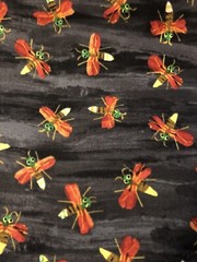 FIREFLY TOSS by Eric Carle The Very Hungry Caterpillar for Andover # 4446 BTFQ