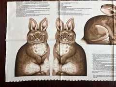 Vintage Brown Rabbit Bunny Appliqué Cut And Sew 12” And 9”