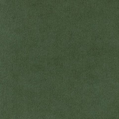 Genuine Ultrasuede® RP 58″ Wide Extrawide Fabric by the Yard #4595 Topiary#2