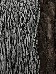 Black White Linen Blended Unique Fabric By 2 Meters, Natural Sewing Fabrics.
