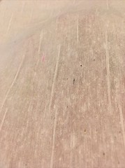 60% Silk 40%Cotton fine Fabric 43” wide clothings shirt lining by yard unbleach
