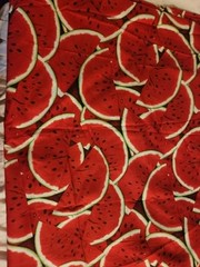 Watermelon Picnic Summer Ants Applique Quilting fabric 100 cotton by 1/2 yard