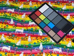 By 1/2 Yd Rainbow Cats Daisies St. Jude Cotton Quilt of Dreams Fabric by Kaufman