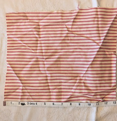 Assorted Print Fabric Remnants Lot – Kona Bay Green & Red Stripes Checks