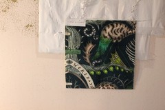 Clarke & Clarke Wonder World Velvet Mythical Ceatures Various Colors and Sizes