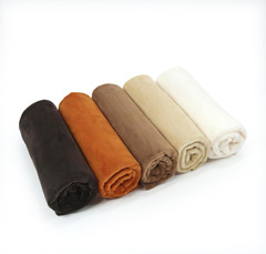 Plush Fabric | Precut Fabric Bundle: 5 Pieces Solid Minky Fabric for Sewing | 19