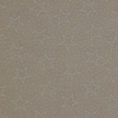 Stars PATRIOTIC Tonal Fabric MADE IN USA White on Creamy White HALF YARD BTHY