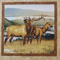 “Breaking Light”~”#2- Pair of Elk (Bull & Cow)”~ Cotton Fabric Panel ~ 11″x11”