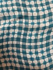 Fabric Lot 2 Yards 26 Inches 42 W Wavy Checks Stripes Turquoise Aqua White