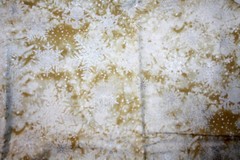 WINTER GLISTEN IN GOLD AND WHITE FROM RJR FABRICS – 100% COTTON FABRIC