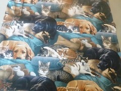 Real Dogs & Cats Resting Together Cotton Fabric -15 INCHES WIDE & 36 INCHES LONG