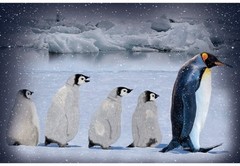 29″ Fabric Panel | Hoffman Winter Penguin Ice Landscape Scene Blue