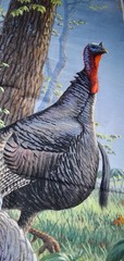 Wild Turkeys Fabric Panel Cotton 36 inches X 45 inches