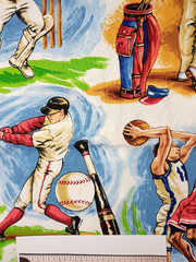Red Rooster Fabrics Sports World DSN #15550 19″ x 42″