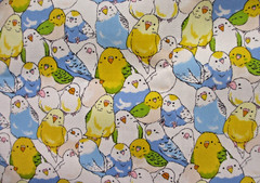 Colorful Parakeets Nomura Tailor Oxford Cotton Fabric BTHY