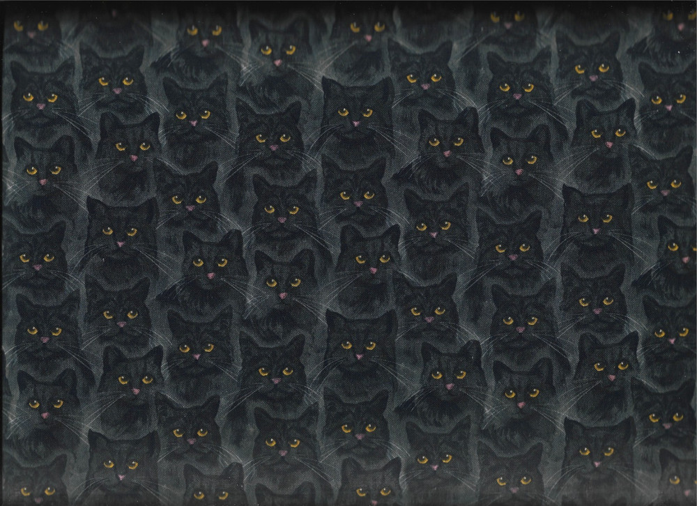 100% cotton Halloween fabric “Midnight Prowl” by 3 Wishes Fabric