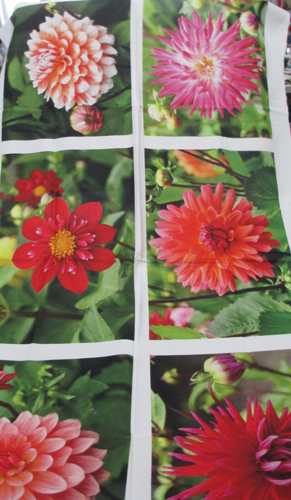 Fabric Panel Red Rooster “Just Dahlias” 6 Different Dahlias 14″ x 9″ each $6.95