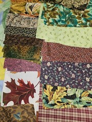 Lot Of 5 Pieces Of Mixed Patterns Fall Themed Cotton Fabric & 70 X 6.5″ Squares