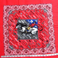 1 panel 22″ Square Red Advertising, Bronco Quilt/Pillow Blocks Low Thread Count