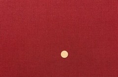 SUNBRELLA 48125 SPECTRUM BRICK RED OUTDOOR INDOOR FURNITURE FABRIC BY YARD 47″W