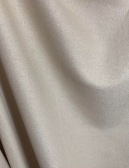 Light Beige Linen & Rayon Blend Fabric
