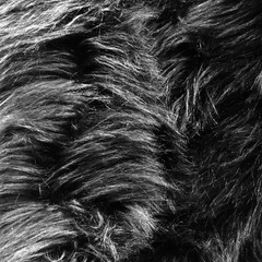 Eden BLACK Shaggy Long Pile Soft Faux Fur Fabric for Fursuit, Cosplay Costume,