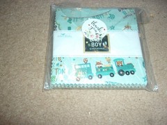 1 5 inch charm pack Baby boy