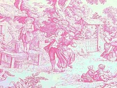 Fabric by the meter and tablecloths | Toile de Jouy model 2 various colors | height 305cm