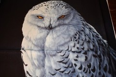 David Textiles Snowy Owl Panel Cotton 35.5×45