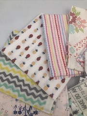10 Piece Fat Quarters by Dear Stella for Hawthorne Supply Co Birds Pineapple