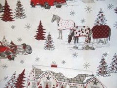 Blank Quilting Tana Mueller Christmas “WESTERN GREETINGS” Cotton Fabric SBTYX