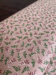 6YDS +32” OOP Thimbleberries Quilt Club 2007 RJR House & Garden Fabric