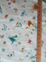 Dragonfly Butterfly Birds Flowers Dragonflies Artist Crearm Cotton Fabric FQ