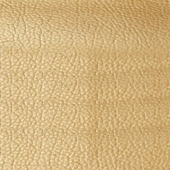 Anminy Boat Marine Fabric, Set of 2 yards, Metallic Gold, Brand New!