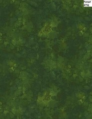 Solid-ish Tone on Tone cotton quilt fabric Timeless Treasure FOREST green 1-5/8y