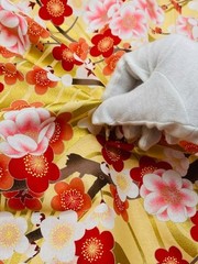 Japanese Cotton Fabric – Plum Blossom Floral Pattern Gold Yellow (1 Meter)