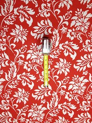 MILL CREEK WEXFORD BERRY RED FLORAL OUTDOOR FURNITURE FABRIC BY THE YARD 54″W