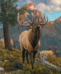 Majestic in Nature Digitally Printed 36in x 43in Low Country Mulies Panel Deer