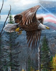 May Freedom Forever Fly 36in x 44in Panel Patriotic America the Beautiful