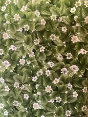 Timeless Treasures Strawberry Bouquet Cotton Fabric by the yard,1/2 yd