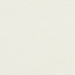 5 yards Sunbrella Canvas Natural White Outdoor Upholstery Fabric