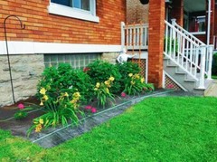 Landscape Fabric Weed Barrier Ground Cover Garden Liner Tarp 6ft x 100ft
