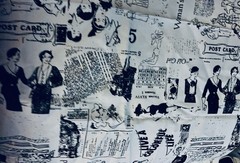 “Fancy & Fabulous” # C4843 by Fancy Pants Designs for Riley Blake BTFQ