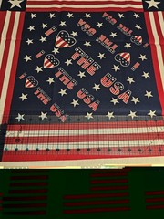 Patriotic USA American Flag Fabric Panel Red White Blue Stars Stripes 36×35