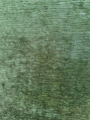Limerick Leaf Green Chenille Performance Crypton Home Upholstery Fabric
